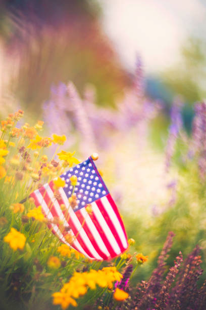 istock American flag background in Autumnal setting with vibrant flowers 841422840