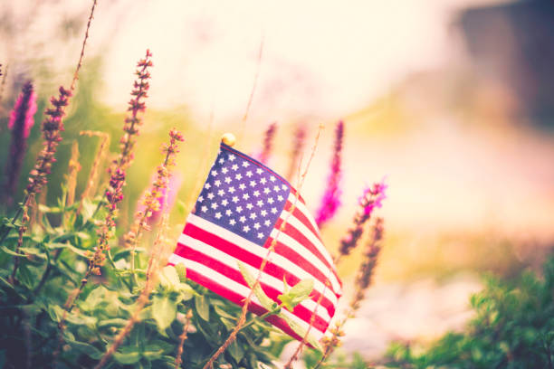 istock American flag background in Autumnal setting with vibrant flowers 841422858