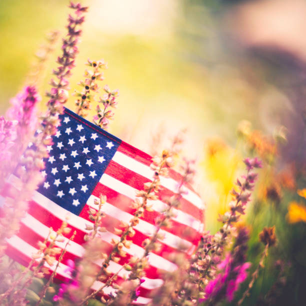 istock American flag background in Autumnal setting with vibrant flowers 841422860