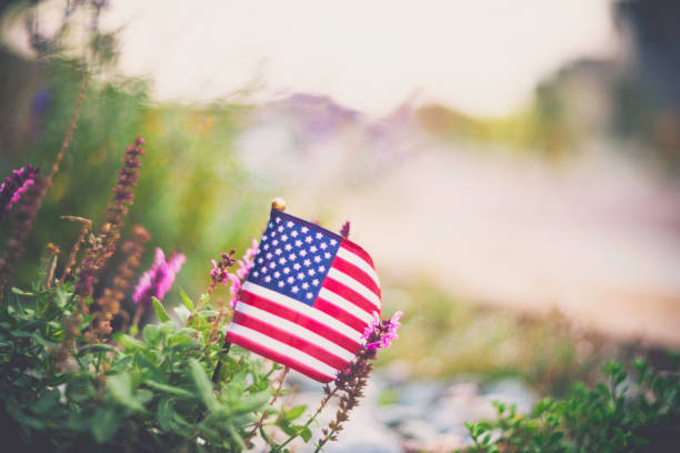istock American flag background in Autumnal setting with vibrant flowers 841422868