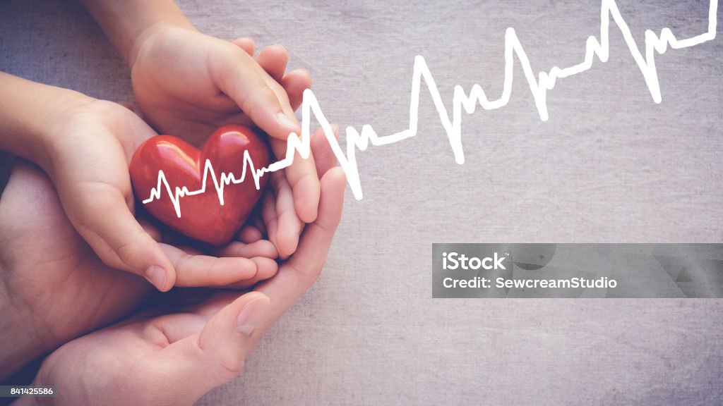 adult and child hands holiding red heart with cardiogram, health care love and family concept Electrocardiography Stock Photo