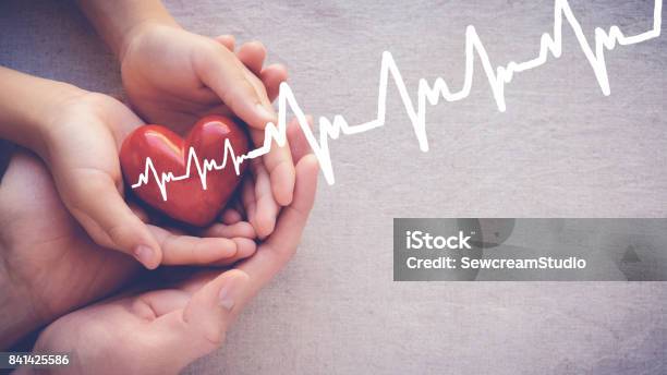 Adult And Child Hands Holiding Red Heart With Cardiogram Health Care Love And Family Concept Stock Photo - Download Image Now