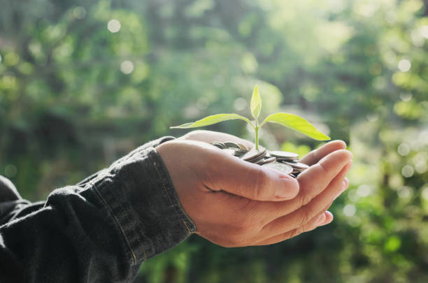 istock concept hand holding money and growing small plant 841425724