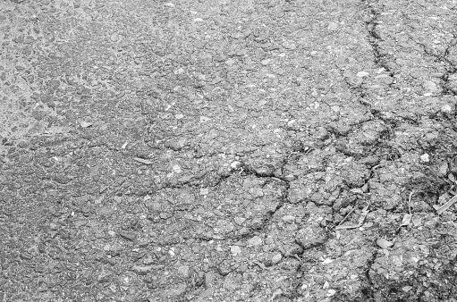 Closeup surface damaged road destroyed by tree roots textured background in black and white tone