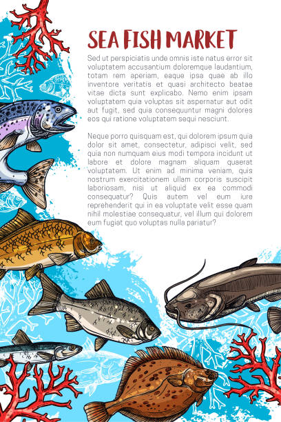 illustrazioni stock, clip art, cartoni animati e icone di tendenza di poster vettoriale di pesca per il maket di frutti di mare - catch of fish fish tuna sea bream