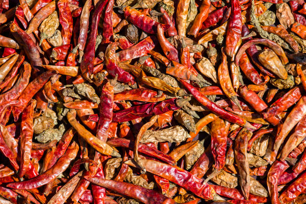 istock Red hot chili peppers background in Nepal 841433288