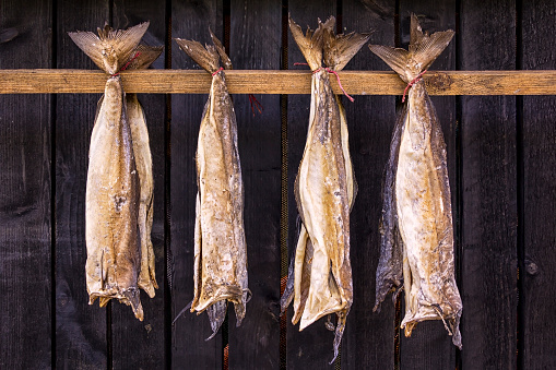 Stockfish is unsalted fish, especially cod, dried by cold air