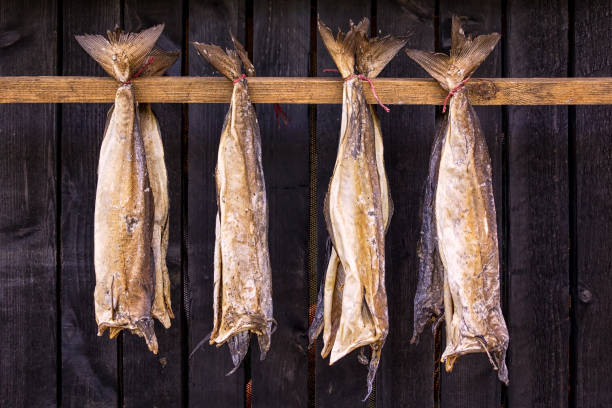 Stockfish is unsalted fish, especially cod, dried by cold air Stockfish is unsalted fish, especially cod, dried by cold air and wind on wooden racks, seen on the Faroe Islands. faroe islands photos stock pictures, royalty-free photos & images