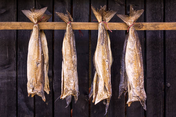 Stockfish Is Unsalted Fish Especially Cod Dried By Cold Air Stock