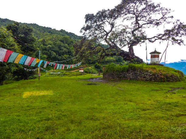 istock Prayer flag and stupa by a big tree in Bhutan 841438432