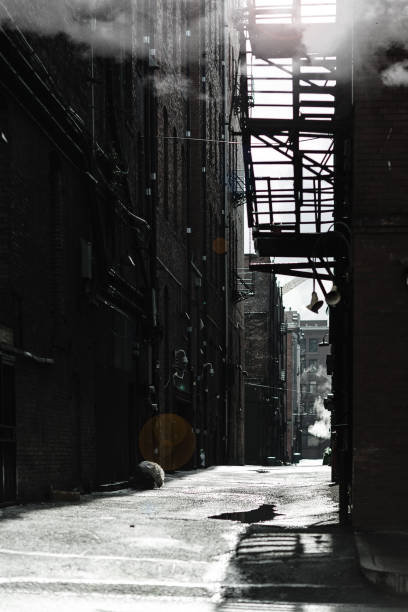 istock Smoky cinematic alley 841441810