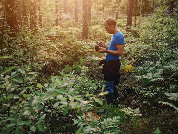 istock Picking mushrooms in the woods checking smart phone what kind it is 841445824