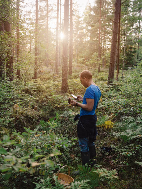istock Picking mushrooms in the woods checking smart phone what kind it is 841445858