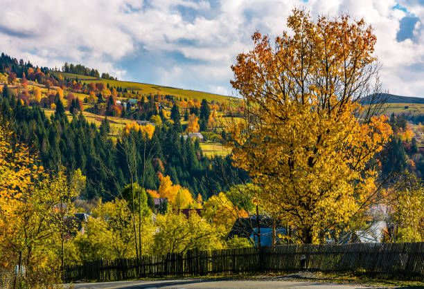 istock fence and tree by the road in village 841449612