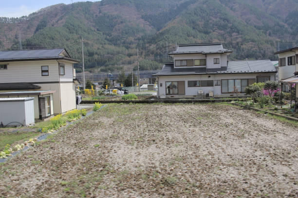 istock the  countryside at YAMANASHI , japan 841450566