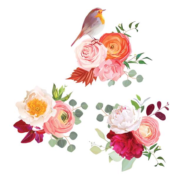 Autumn flowers mix and cute robin bird vector design bouquets Peachy rose, white and burgundy red peony, orange ranunculus, pink carnation, autumn leaves, eucalyptus, herbal mix and cute robin bird vector design bouquets. All elements are isolated and editable. flower arrangement bouquet variation flower stock illustrations