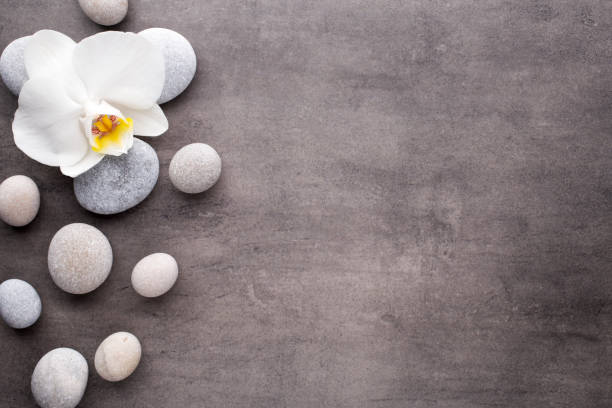 istock White orchid and spa stones on the grey background. 841465574