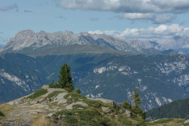 istock Small tree on a peak with mountains in the background 841470690
