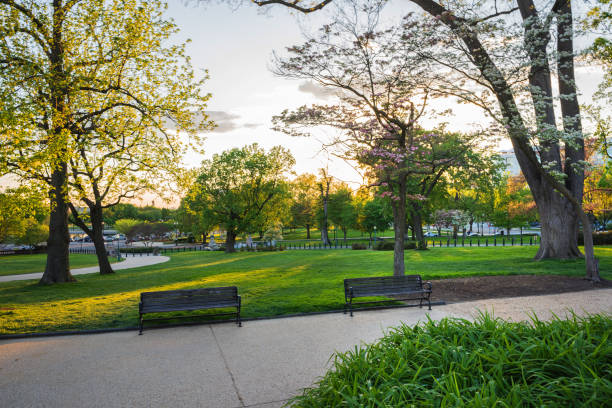 istock Benches near path in National Mall park Washington US 841472280