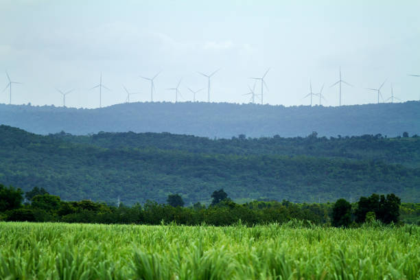 istock West Huay Bong 3 project in Nakhon Ratchasima Province 841478200