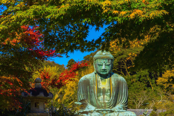 el gran buda - hase temple fotografías e imágenes de stock