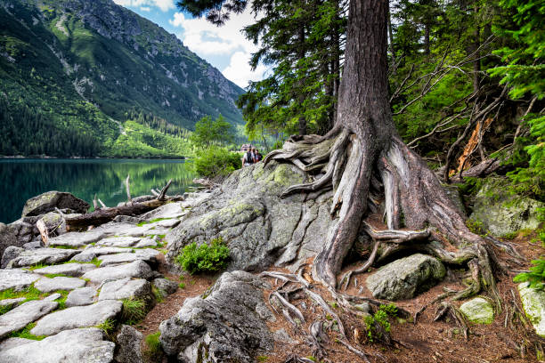 morskie oko lago nas montanhas de tatra, polônia - tatra mountains zakopane lake mountain - fotografias e filmes do acervo