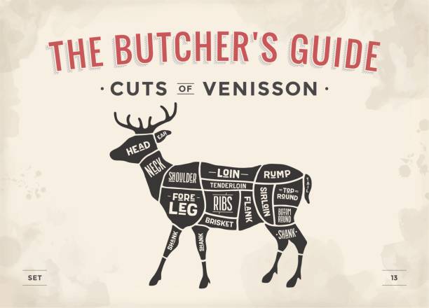 ilustrações de stock, clip art, desenhos animados e ícones de cut of meat set. poster butcher diagram, scheme - venisson - venison