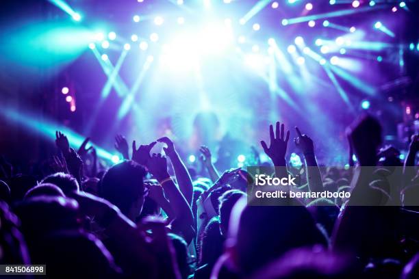 Enjoying Great Concert Stock Photo - Download Image Now - Party - Social Event, DJ, Music