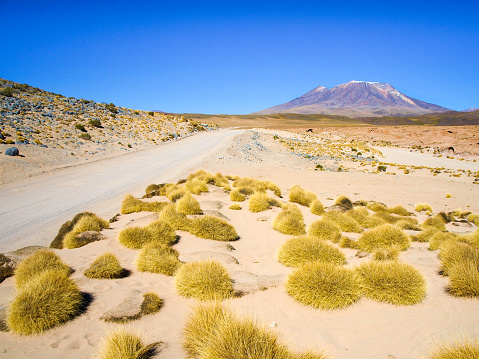 High peaks and typical grass clumps in Cordillera de Lipez, Andean Altiplano, Bolivia, South America.