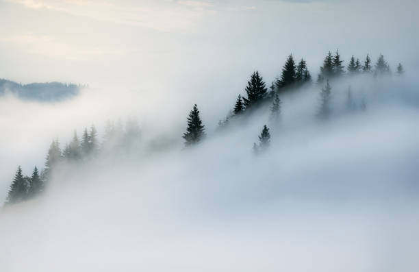 istock Ukraine. Carpathians. Dzembronya. Mount smoke 841514982