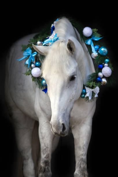 istock Horse with christmas decoration 841518284