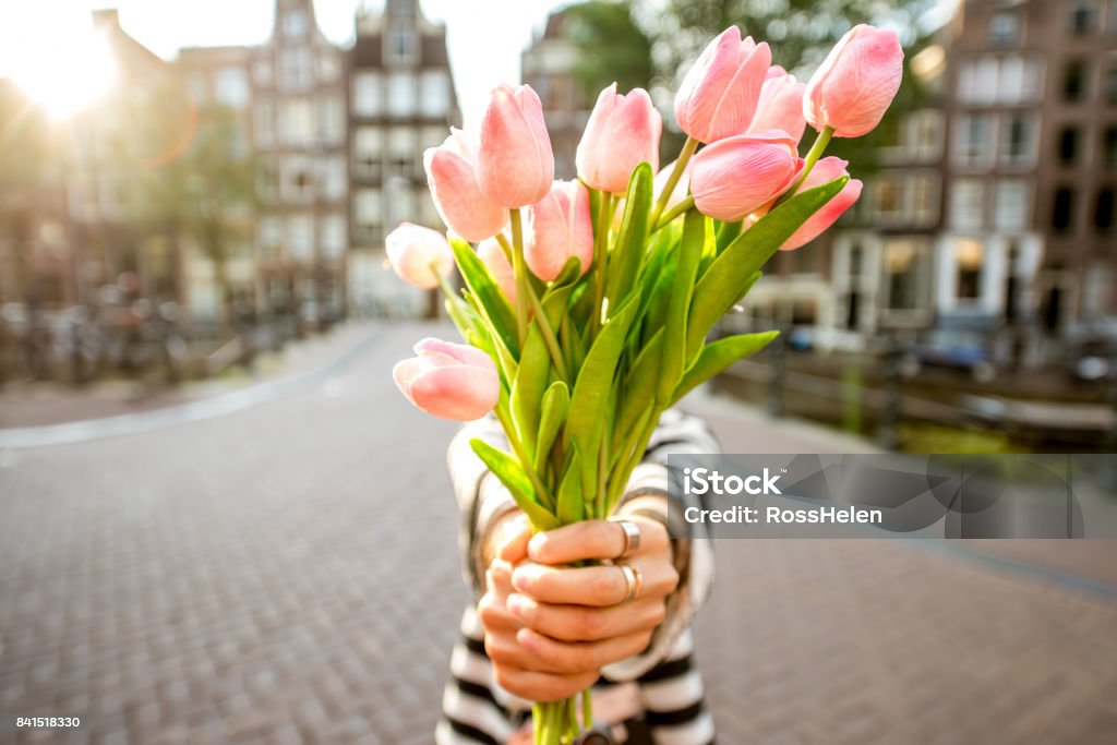 Woman with tulips in Amsterdam city Woman giving a beautiful bouquet of pink tulips standing outdoors in Amsterdam city Tulip Stock Photo