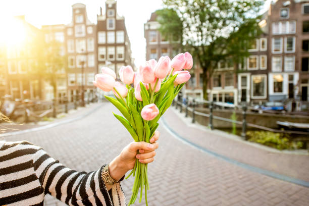 istock Holding tulips in Amsterdam 841518446