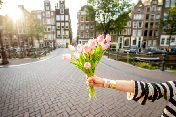 istock Holding tulips in Amsterdam 841518522