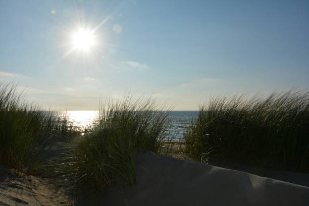istock Dunes grass in the back light  on the North Sea 841523148
