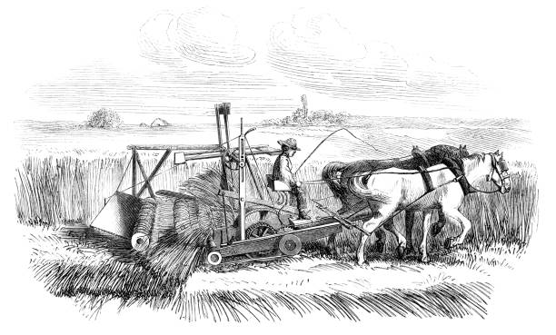 Farmer making hay on field with Cyrus McCormick Reaper 1859 Steel engraving farmer saving hay on field with haymaking machine 1859 antique pitchfork stock illustrations