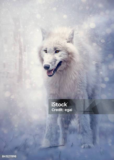 Photo libre de droit de White Wolf Dans La Forêt banque d'images et plus d'images libres de droit de Loup - Loup, Loup de l'Arctique, Blanc