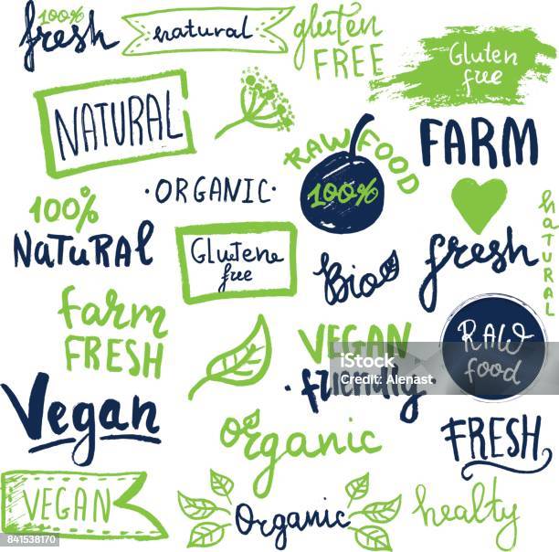 Organic Ecology Icons Labels And Tags Hand Drawn Grunge Icon With Raw Vegan Lettering And Signs Stock Illustration - Download Image Now