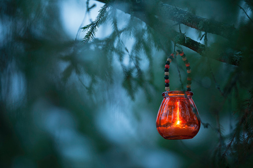 Candle lantern hanging from tree branch