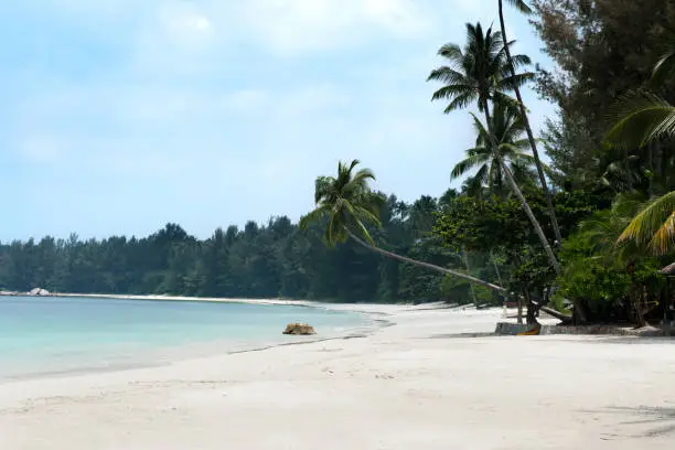Tropical white sand beach and palm trees stretching out towards the blue colored ocean in the afternoon at Tanjung Pinang on Bintan island, Indonesia.