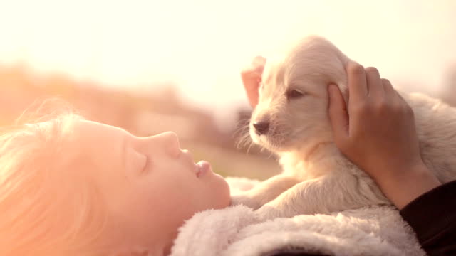 White Golden Retriever Puppy Cuddling Up with Owner Girl Laying on Lawn in Park Outdoors Summer Spring Day Kissing Hugging Petting