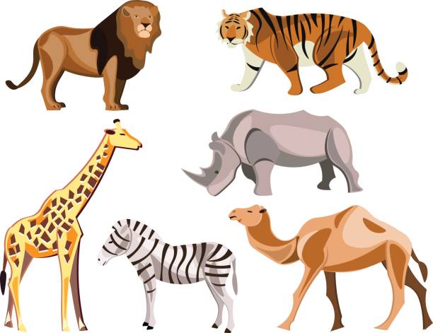 istock Set of africa animals on white background. 841551518