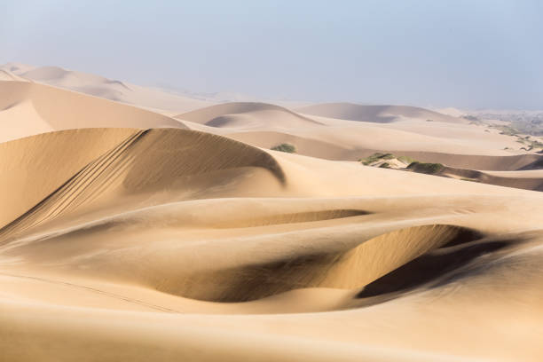 istock Golden Namib desert 841553838