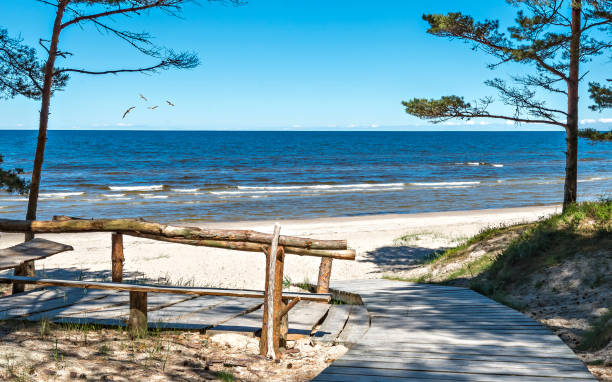 istock Coastal landscape with pine trees and sand dunes, Baltic Sea 841573612
