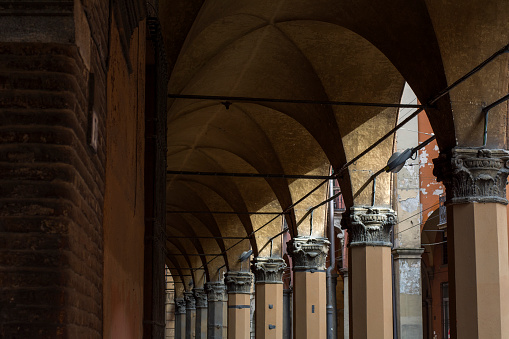 Large Brown Rounded Columns Several Dark Brown Columns In Gallery Stock Photo - Download Image Now ...