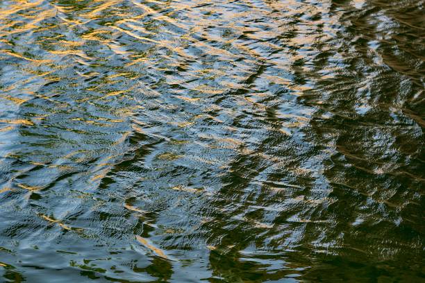istock Polarized texture of water with a blue tinge in the river with a small ripple on the surface 841577608