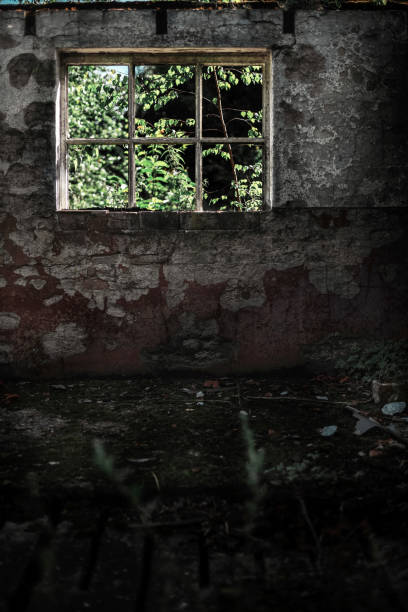 istock Blistering wall with empty window frame of abandoned cowshed. 841580696