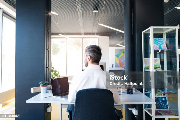 Businessman At The Desk With Laptop In His Office Stock Photo - Download Image Now - Rear View, Office, Back