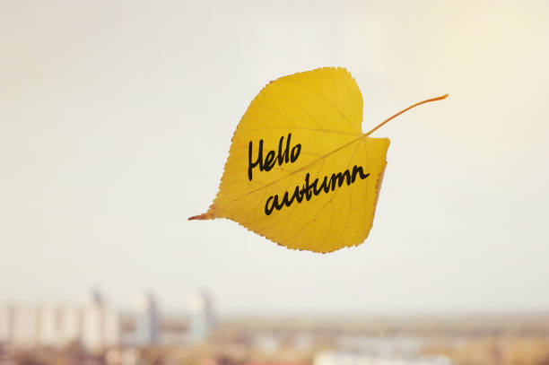 istock The inscription Hello autumn yellow leaf closeup. 841587406