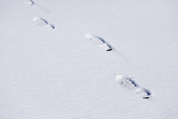 istock Foot prints in the Snow 841588234